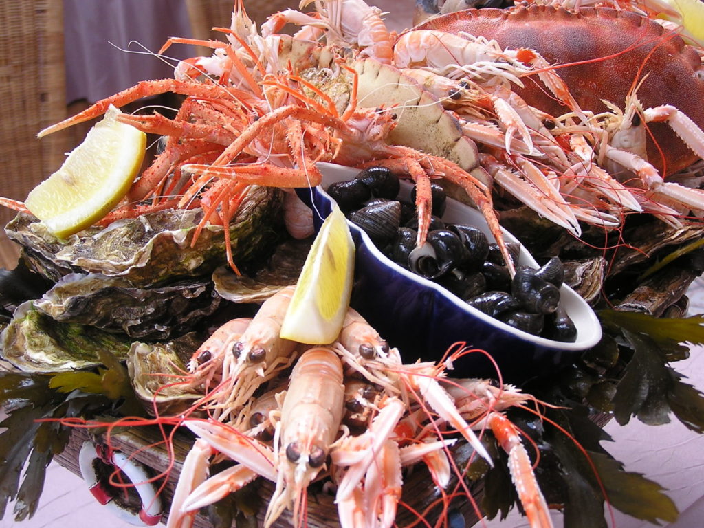 Restaurant fruits de mer hotel les Ondines Penmarch Pays Bigouden 7 - Le restaurant - Quimper Brest